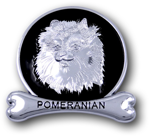 Pomeranian (555x555), Png Download