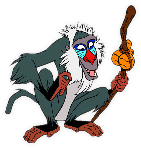 Rafiki Png Photos - Scimmia Del Re Leone (575x513), Png Download