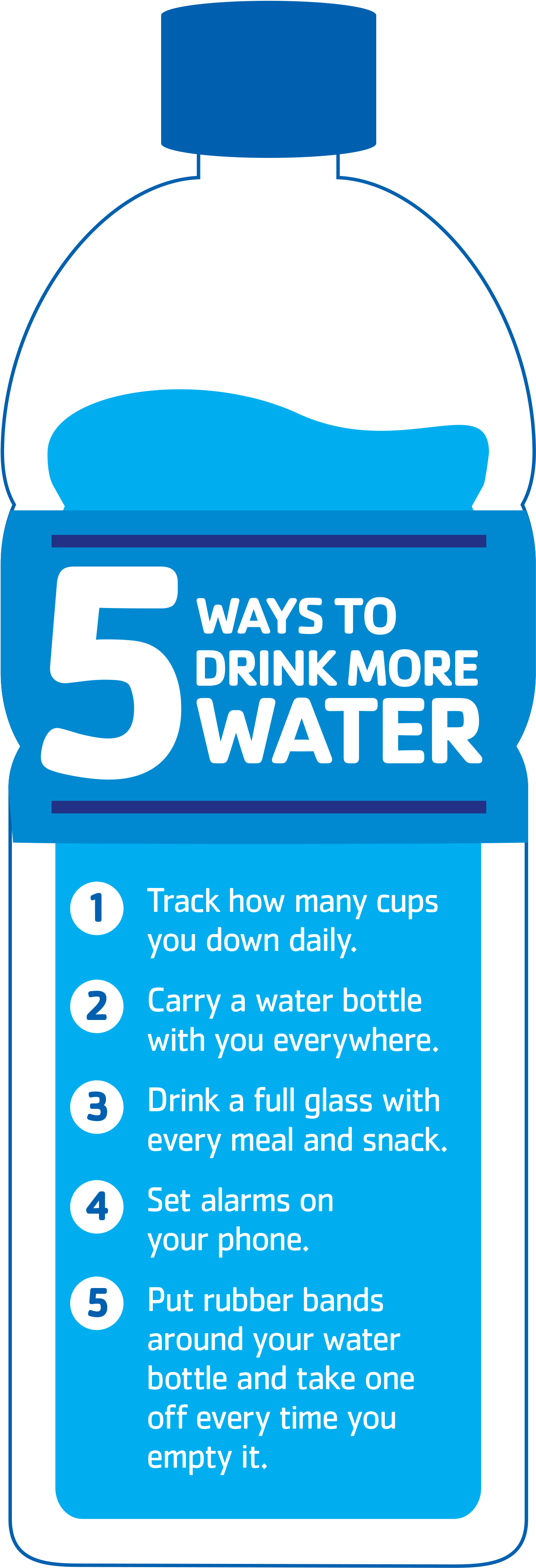 Drink More Water Infographic (3300x4800), Png Download
