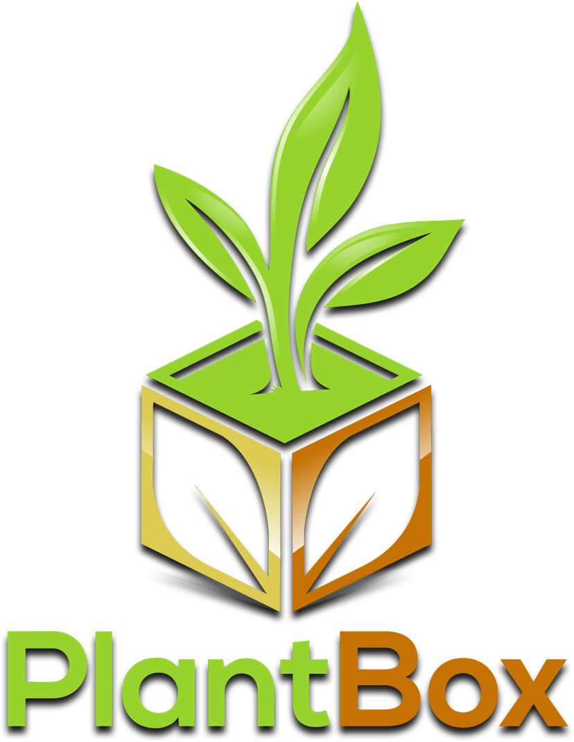 Buy Exotic And Rare Tropical Plants Online - Gano E Worldwide (850x1082), Png Download