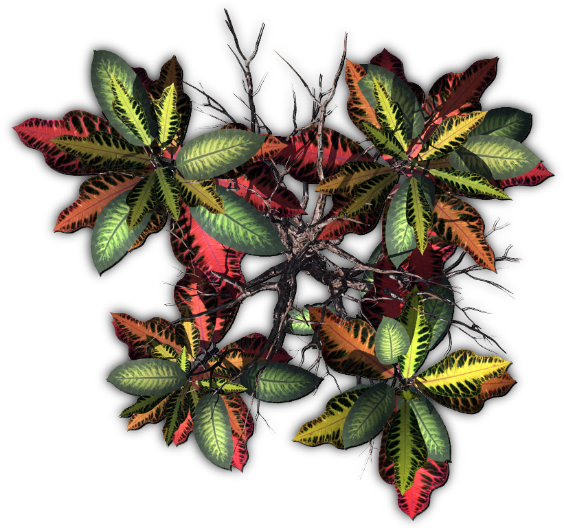 Jungletree-b - Bud (856x777), Png Download