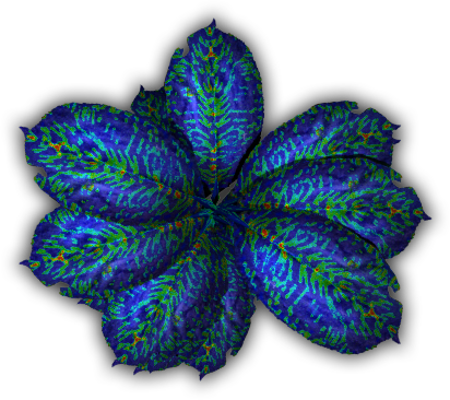 Tropical Jrl39 - Floral Design (412x366), Png Download