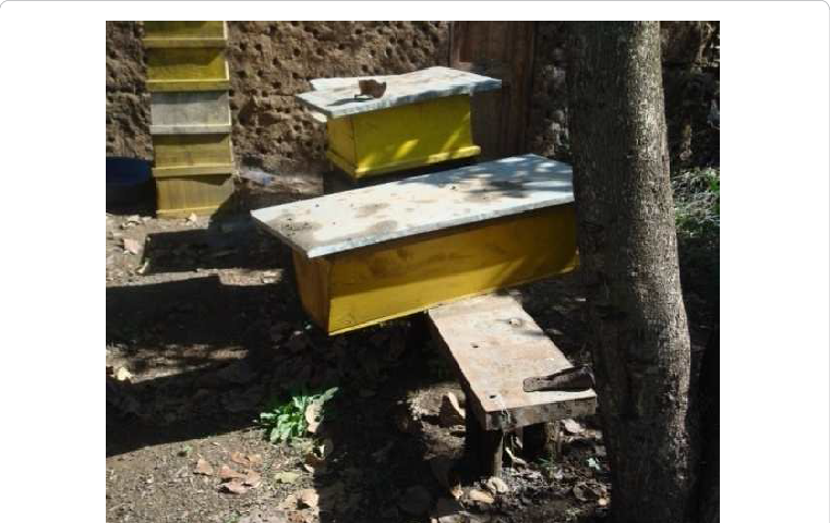 Types And Placement Of Beehive - Beehive (761x480), Png Download