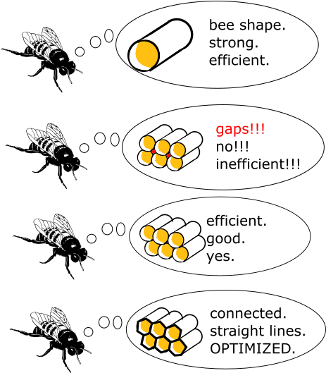 Why Beehives Are Hexagons - Bee Shape Strong Efficient (482x548), Png Download