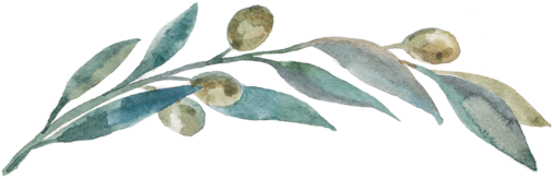 Olivebranch - Blog (1000x201), Png Download