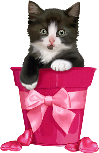 Gatti Tubes Per Grafica In Png - Шки Png (335x504), Png Download