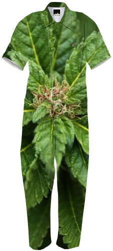 Weed Jumpsuit $180 - Day Dress (400x520), Png Download