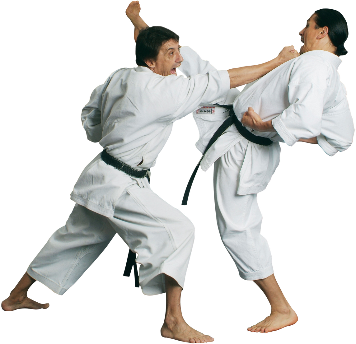 Karate Png (1192x1127), Png Download