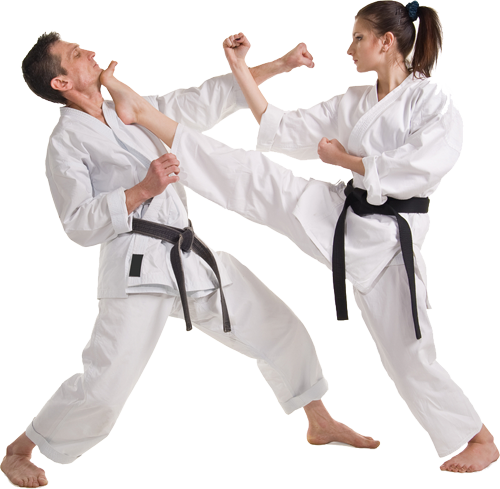 Martial Arts (500x489), Png Download