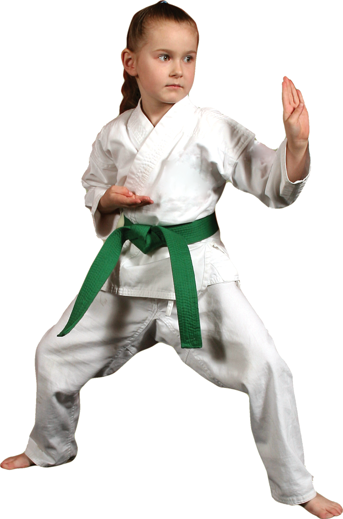 Testimonials - Karate Kid Png (677x1024), Png Download