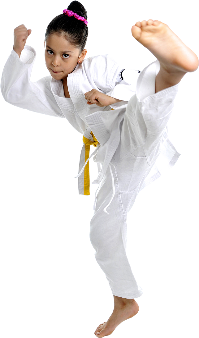 Homeschool - Girl Karate Kick Sexi (800x1197), Png Download
