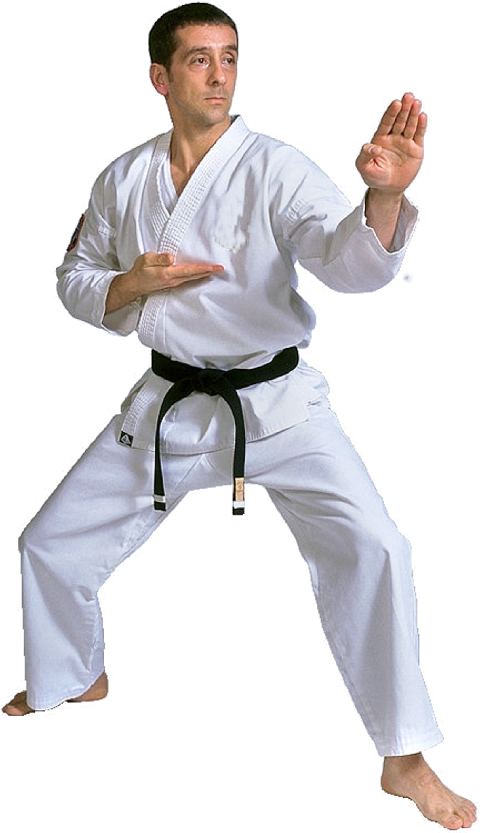 Judo Karate Man (684x1188), Png Download