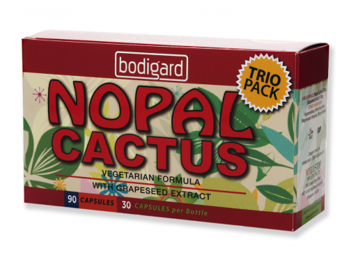 Fruit (500x500), Png Download