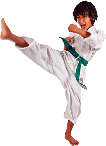 Karate By Kari Schuetz 9781600145704 (hardback) (357x493), Png Download