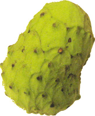 Food/ Fruit/ Cherimoya - Cherimoya Fruit (327x400), Png Download