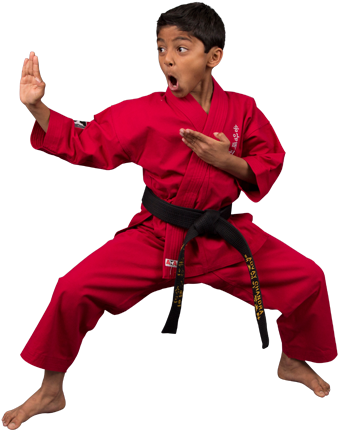 Karate For Kids At Cranberry Ata Martial Arts In Seven - Karate Kids (345x470), Png Download