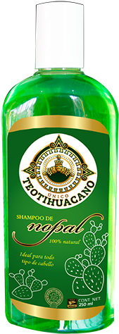 Shampoo De Nopal 100% Natural Evita La Caida Del Cabello - Shampoo Teotihuacano (320x553), Png Download