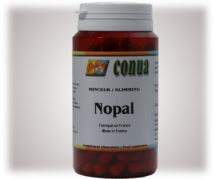 Buy Nopal - Digestion Fennel Rosemary Artichoke Black Radish 120 (700x586), Png Download