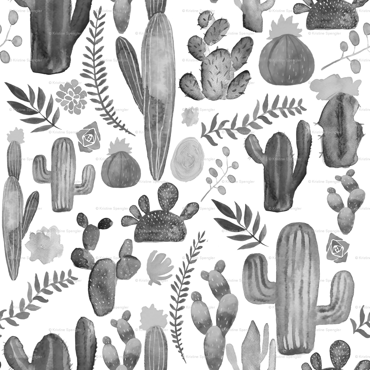 Eastern Prickly Pear (1198x1198), Png Download