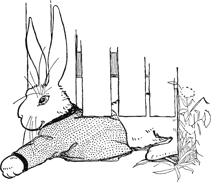 Peter Rabbit Albert 19 - Kaninchen, Das Unter Tor Zusammendrückt Karte (846x731), Png Download