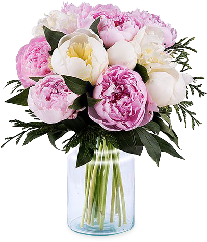 Pink And White Peonies - Pink Flowers In Vase (480x480), Png Download