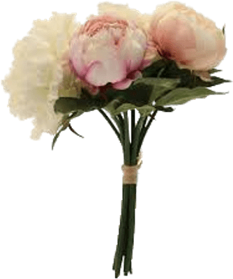 Hobbycraft Cream And Pink Peony Bouquet (400x400), Png Download