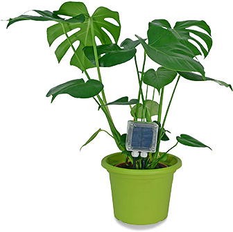 Soil Moisture - Humidity Sensor Plants (350x371), Png Download