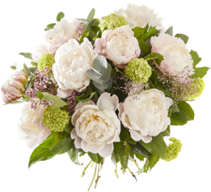 Peony - Interflora (300x400), Png Download