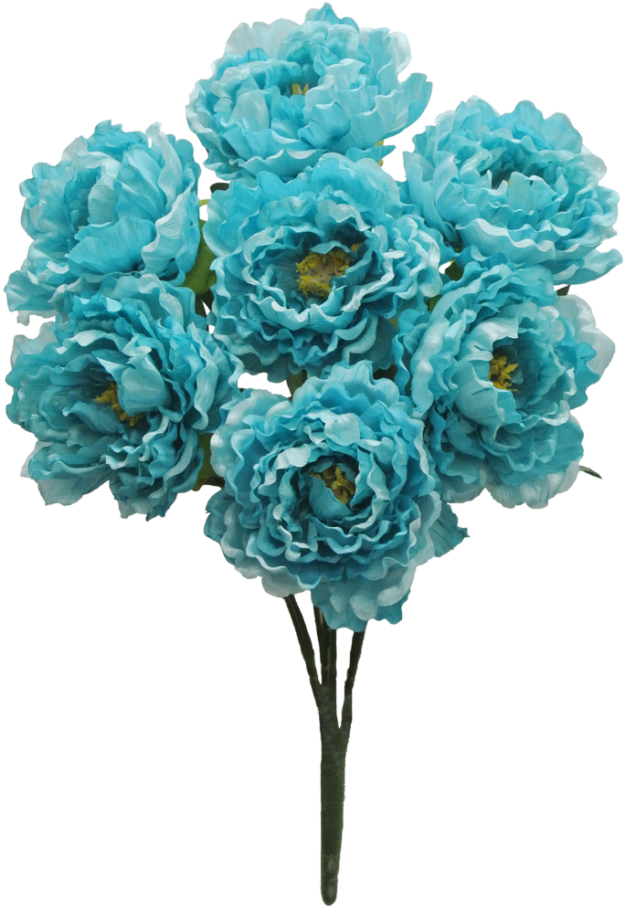 Tuquoise Peony Bush X7 Sale Item - Transparent Turquoise Flowers (700x992), Png Download