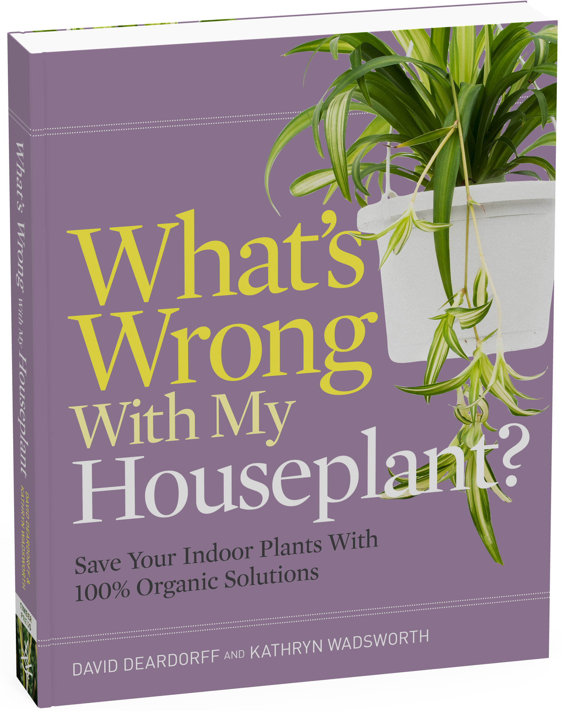 What's Wrong With My Houseplant - What's Wrong With My Houseplant? Save Your Indoor Plants (1875x2384), Png Download