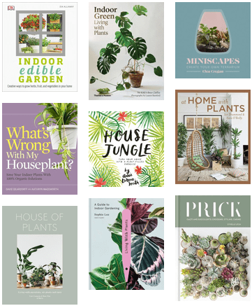 Prick - Cacti And Succulents: Choosing, Styling, Caring (436x482), Png Download