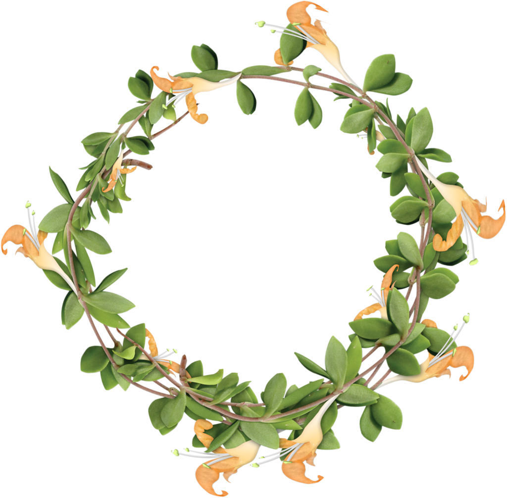 Фото, Автор Cutepictures На Яндекс - Photobucket Inc. (1024x1006), Png Download