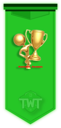 17 - The Winning Team (250x525), Png Download
