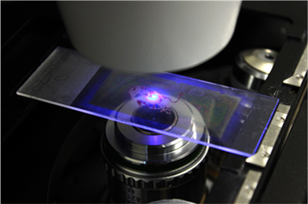 Blue Light Of A Laser Beam Cutting A Specific Region, - Cell (1805x784), Png Download