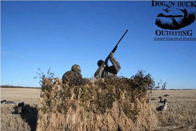 Dog N Duck Outfitting (1170x432), Png Download