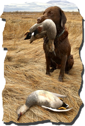 Reedy Creek Outfitters Goal Is To Provide You With - Outfitter (323x425), Png Download