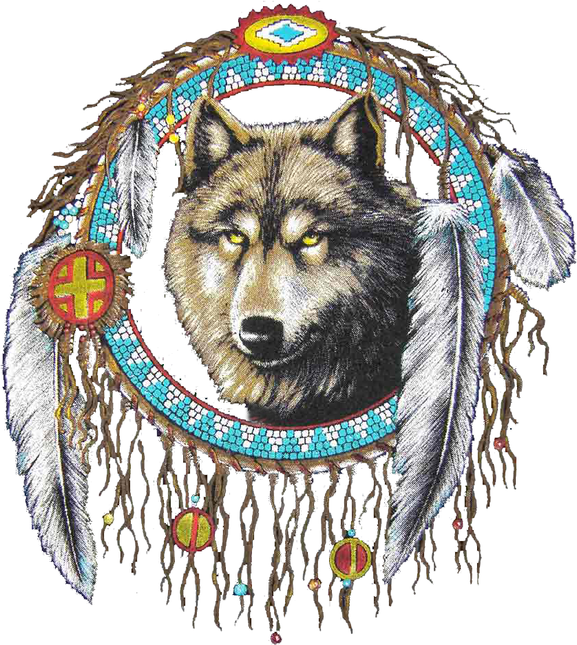 Dreamcatcher Transparent Wolf - Dream Catcher Pngs (900x1004), Png Download