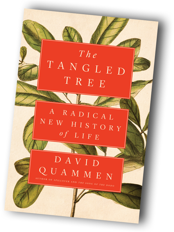 From Early Reviews Of The Tangled Tree - Tangled Tree (729x799), Png Download