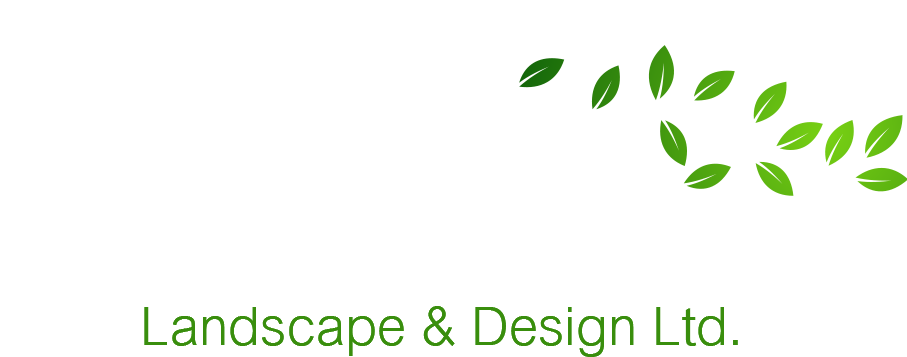 Mustang Logo Clean White - Malang (911x404), Png Download