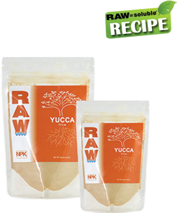 Raw Yucca - Raw Amino Acids (450x450), Png Download