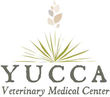"creating A Personalized Experience For You And Your - Yucca Veterinary Medical Center, Llc (500x441), Png Download