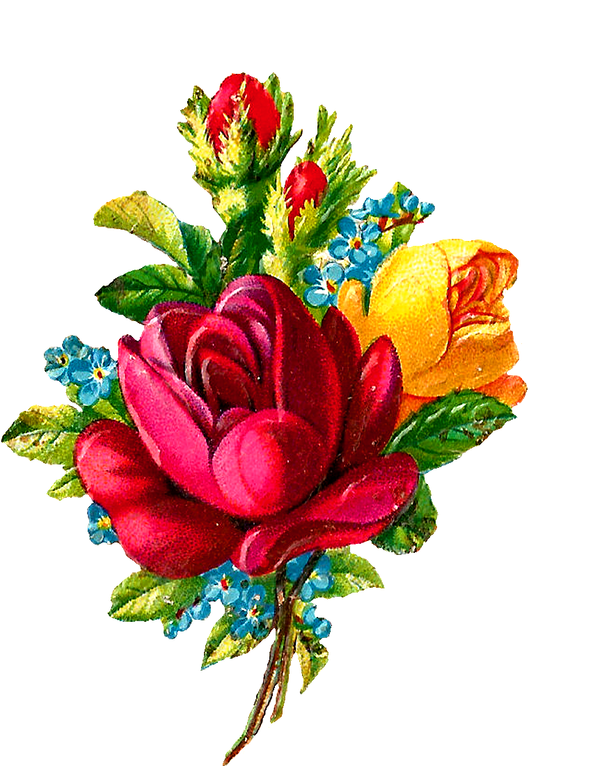 Digital Red Rose Clip Art Flower Download Botanical - Antique (935x1142), Png Download
