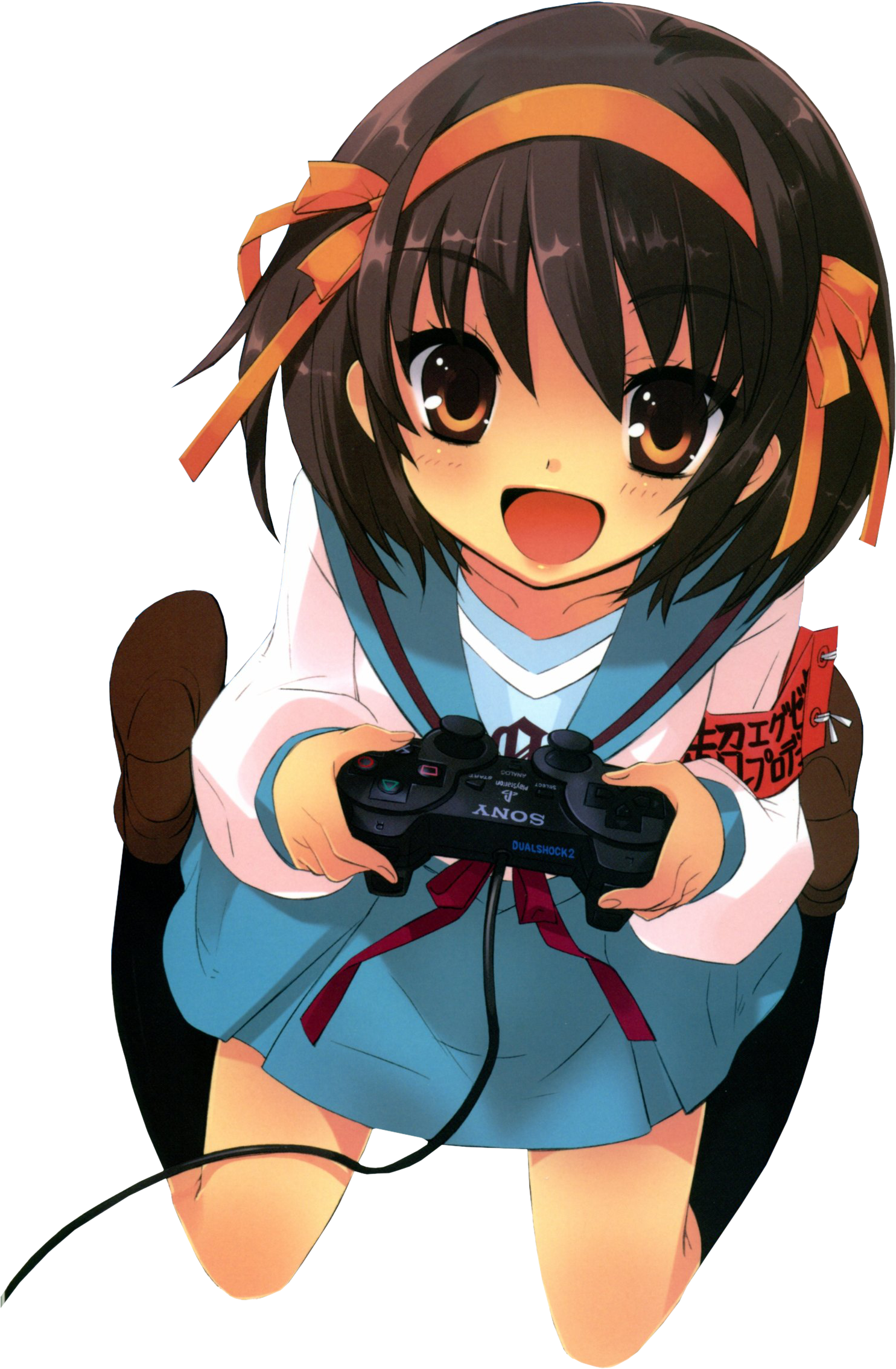 1m Ryokonyuki 19 Feb 2011 - Suzumiya Haruhi No Tomadoi (1903x2658), Png Download