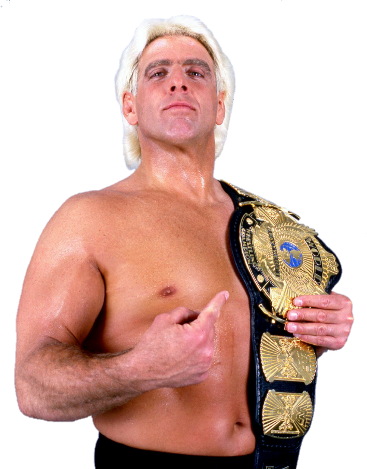 Image Id - - Ric Flair (1200x1520), Png Download