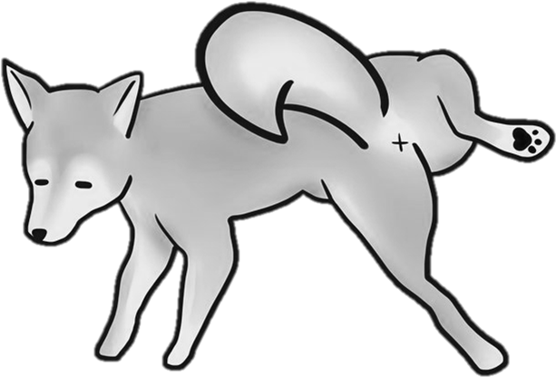 Peeing Shiba Inu Dog Turned Into Stone - Cartoon (895x895), Png Download