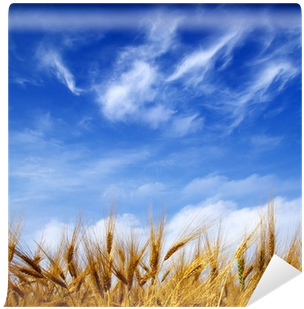 Hand (400x400), Png Download