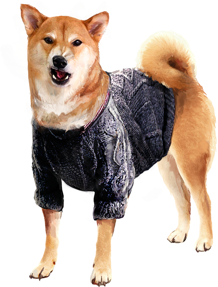 It's Not Every Day You See A Vn With Doggos - Hokkaido (989x1058), Png Download