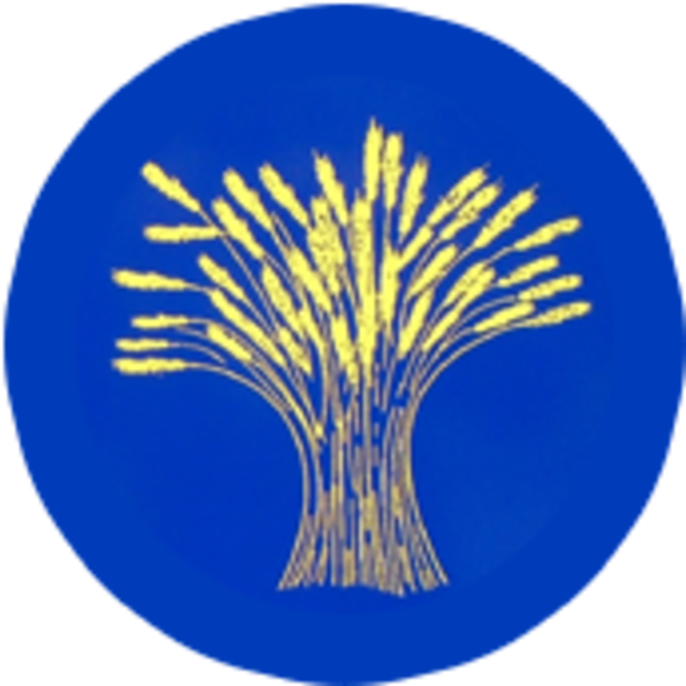 Shine Sports Mornings At Wheatfield Primary School - Circle (775x775), Png Download