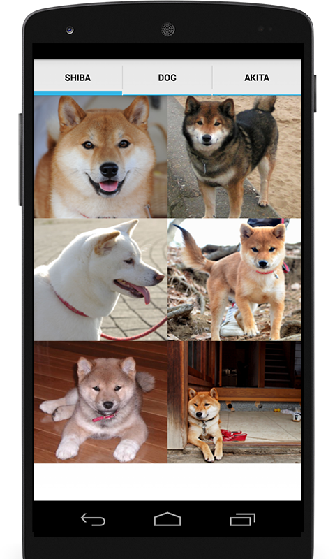 Puppy Shiba Inu Aluminum License Plate (480x800), Png Download