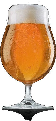 Whats On Tap Beer Glass - Spiegelau Beer Tulip Glass (237x536), Png Download